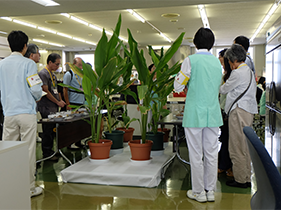 2018年千葉研究センター施設見学会